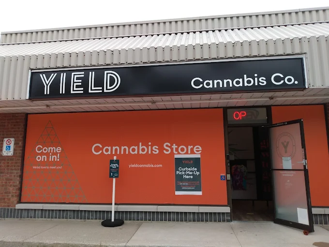 Yield Cannabis Corporation store front