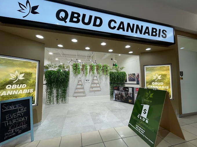 HIGHLIFE CANNABIS TILLSONBURG store front