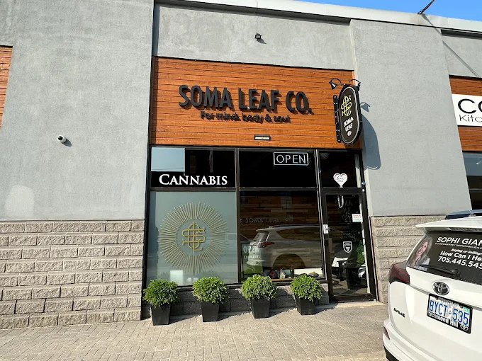 Soma Leaf Company store front