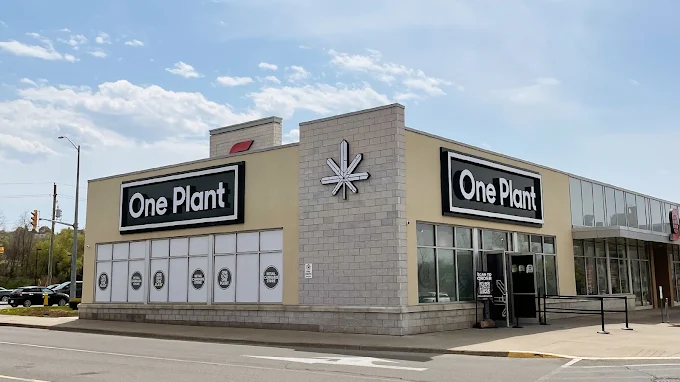 One Plant St Catharines store front