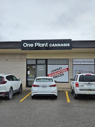 one plant store front