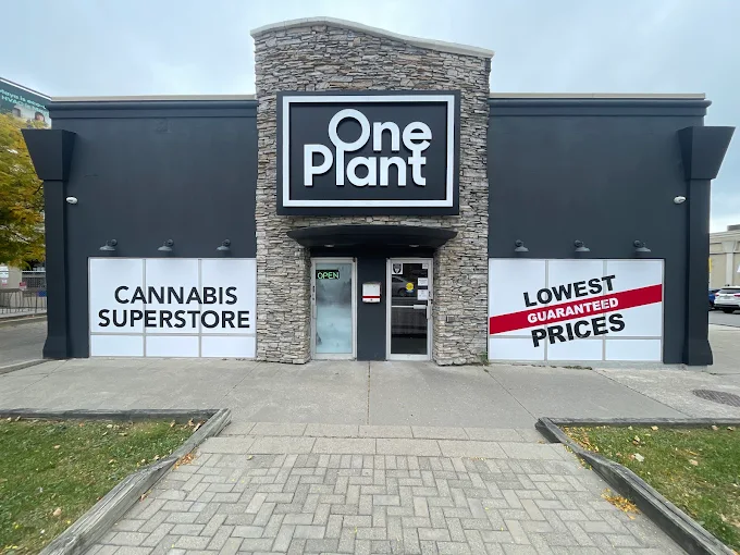one plant dundas store front