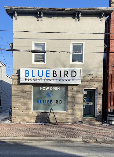 BlueBird Cannabis - St Lawrence store front