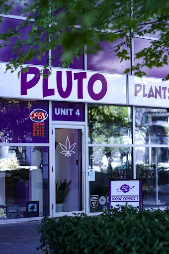 PLUTO PLANTS store front