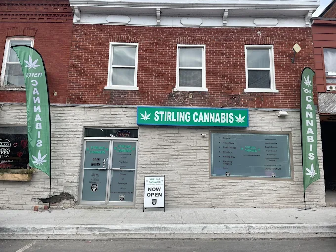 Paradise Cannabis - Stirling store front