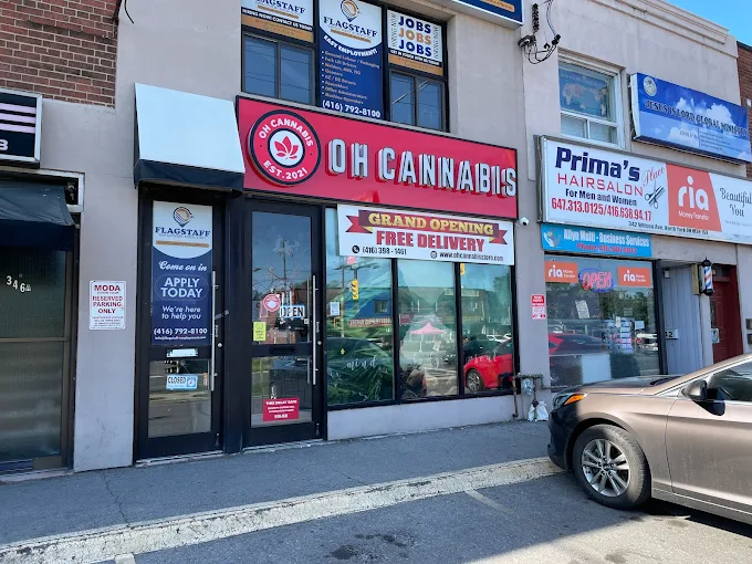OH CANNABIS store front