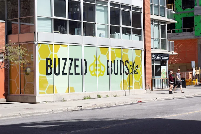 Buzzed Buds store front