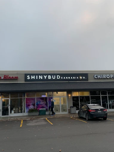 Shiny Bud - Hazeldean store front