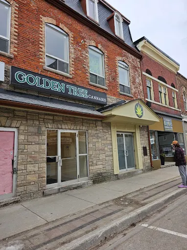 Golden Tree Cannabis - Palmerston store front