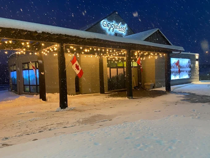 Giggle Leaf store front