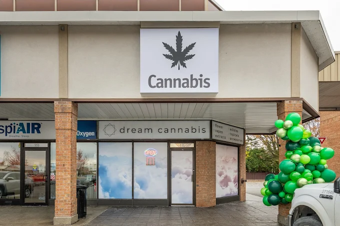 Dream Cannabis store front