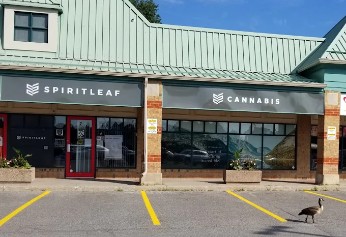Spirtleaf store front