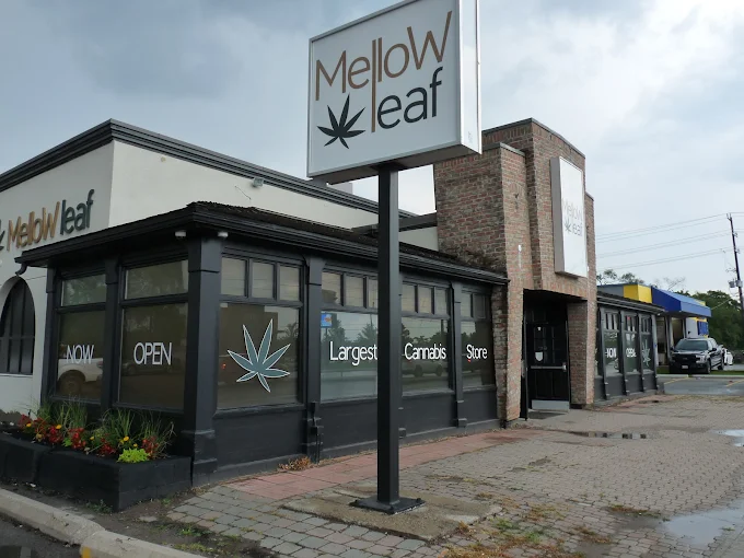 Mellow Leaf store front
