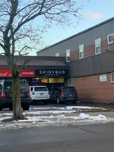 ShinyBud store front