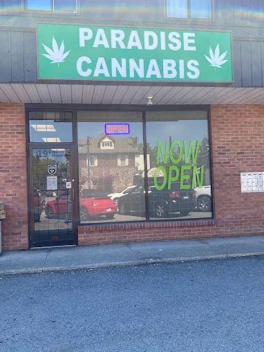 paradise cannabis store front
