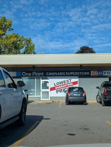 One Plant Port Hope store front