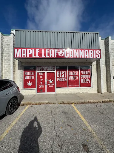 Maple Leaf Cannabis store front