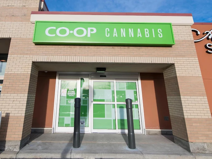 Co-op Cannabis-Hamptons store front
