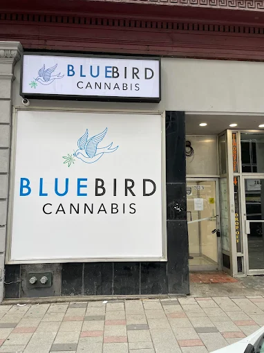 bluebird cannabis store front