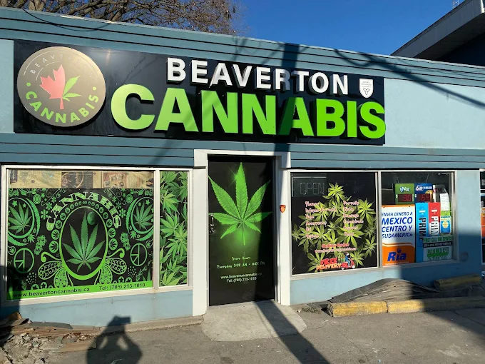 Beaverton cannabis store front
