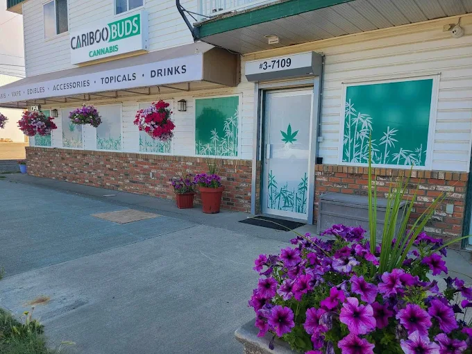 CARIBOO BUDS CANNABIS store front