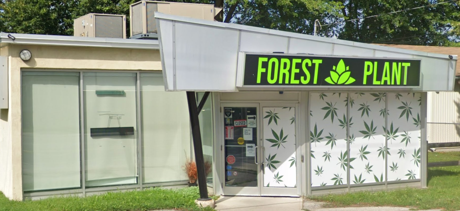 FOREST PLANT store front