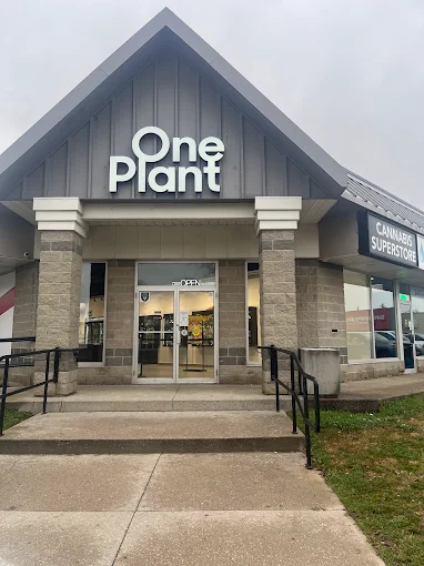 One Plant - Ingersoll store front