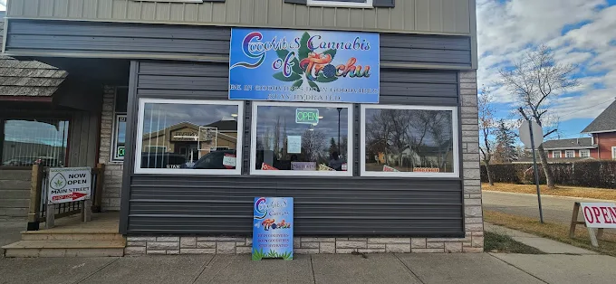Goodvibes Cannabis of Trochu store front