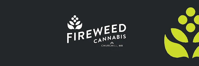 Fireweed Cannabis - Kelsey Boulevard store front
