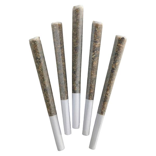 DEALR - Iced Zuchi Pre Roll image 1