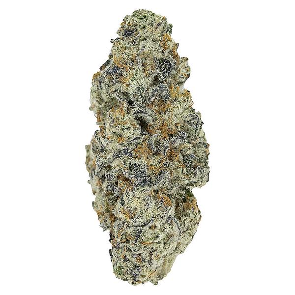 Pistol and Paris - Perma Fried image 1