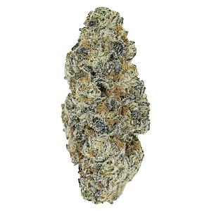 Pistol and Paris - Perma Fried