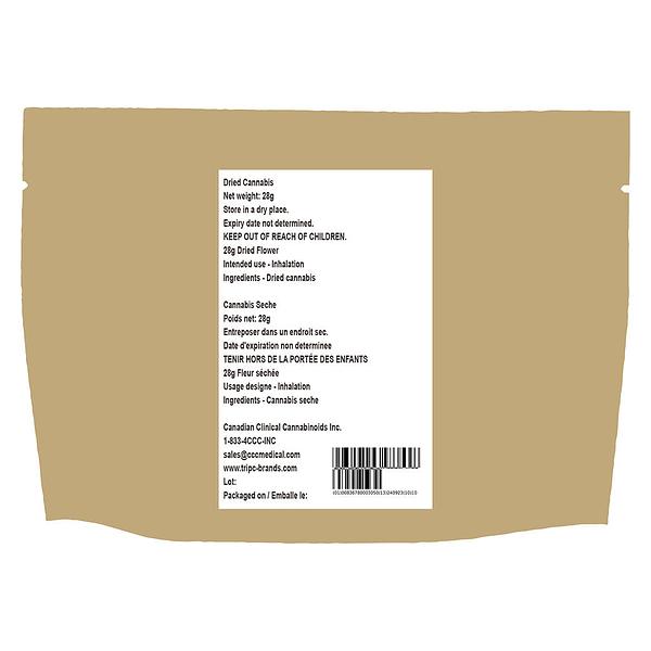 The Loud Plug - Waffle Cone image 3