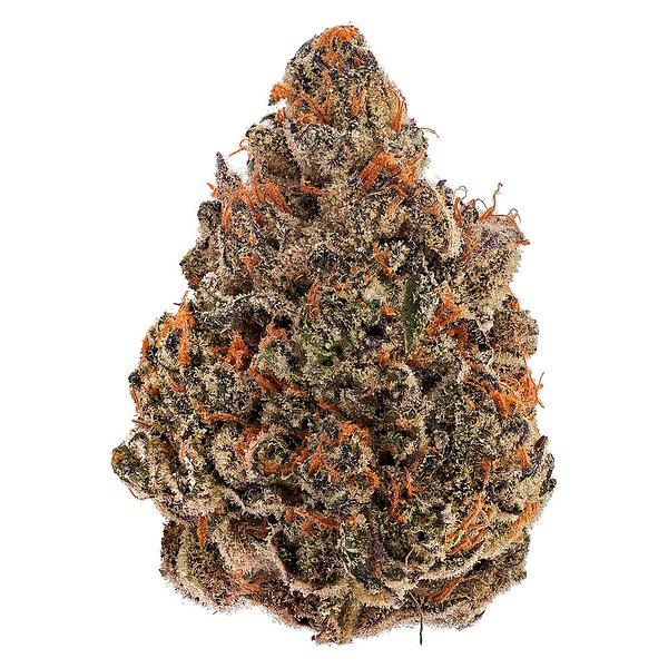 Bud Lafleur - Hollywood image 1