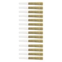 The Loud Plug - Platinum Punch Pre Roll