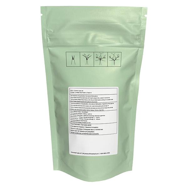 Qwest - Lazer Jet Craft Whole Flower