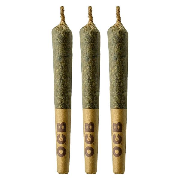 Coterie - Grape Gotti #12 Pre-Roll