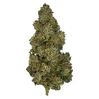 The Kitchen - Cherry Chemtrail