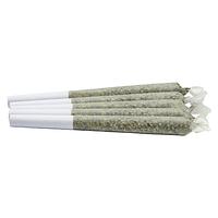 Kingsway - Dayshift High Pre Roll