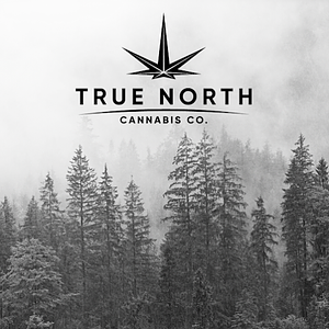 True North Cannabis Co. store front