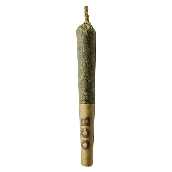 Sheesh - Dubb Bubbs Cured Resin Infused Pre-rolls image 1