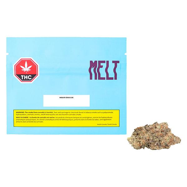 MELT - Midlife Crisis image 4