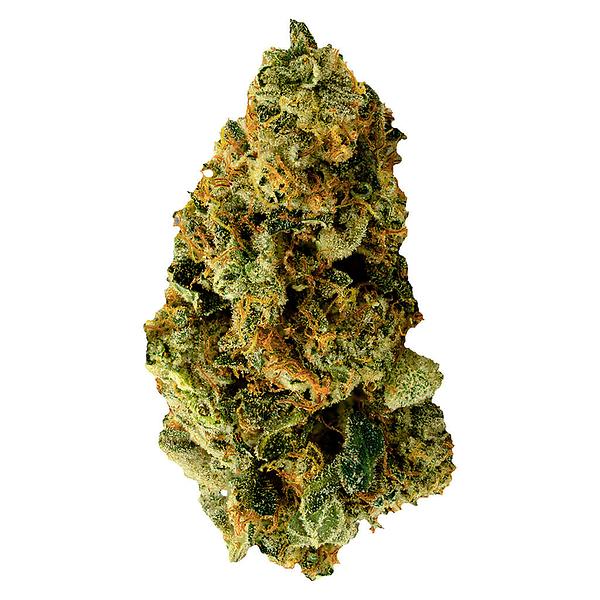 TERPi - Tropical Bliss image 1