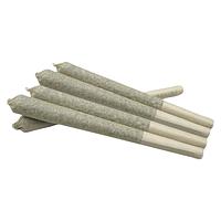 Plush - Hawaiian Haze Premium Joints