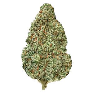 Back Forty - Chemzilla