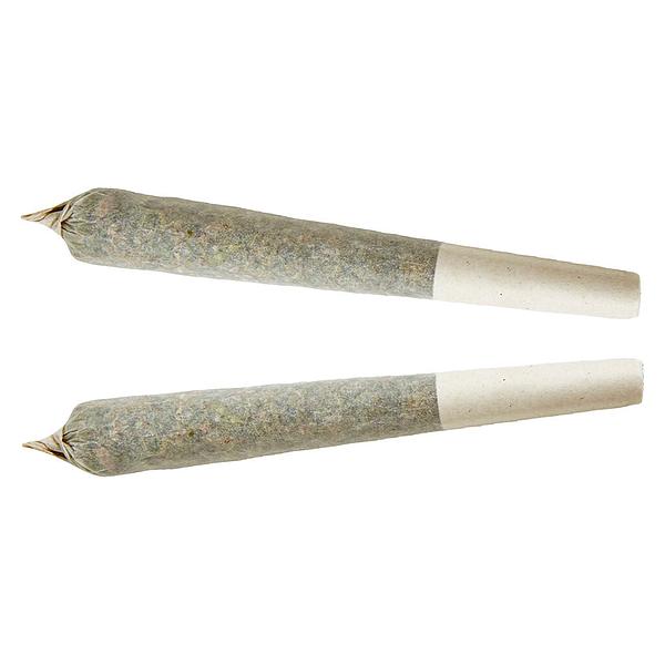 XPLOR - Sativa Pre-roll image 1