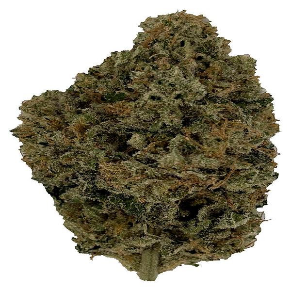 Trichöma Mc - Hybride image 1