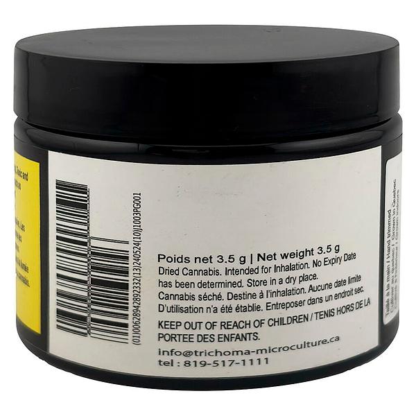 Trichöma Mc - Hybride image 3