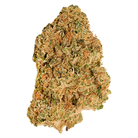 Good Supply - Neon Lotus