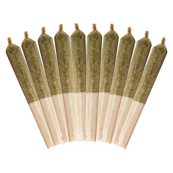 Buddy Blooms - Highbrid Pre Roll